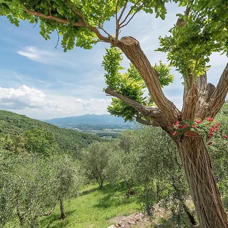 Montecatino Tatil Evi Mastiano