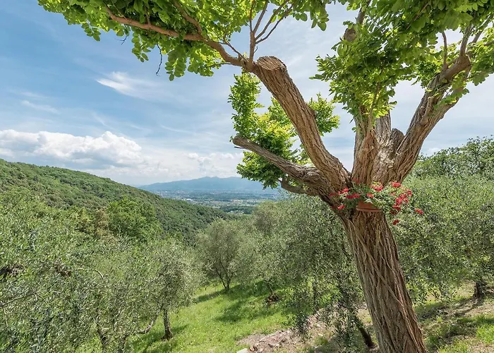 Montecatino بيت للعطل Mastiano